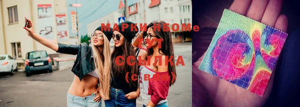 мяу мяу мука Аркадак