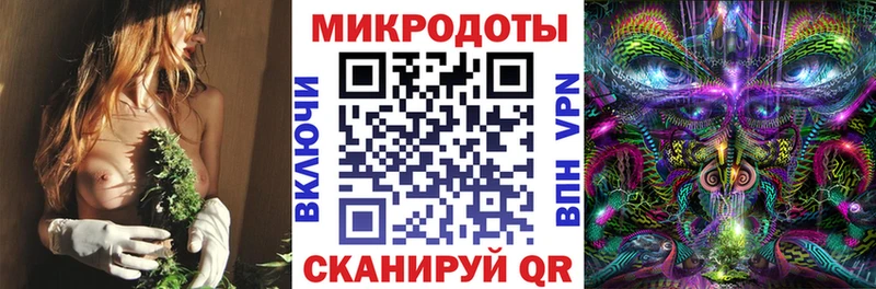 хочу   Мураши  Псилоцибиновые грибы MAGIC MUSHROOMS 